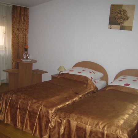 Pensiunea Nane Sibiu Bagian luar foto