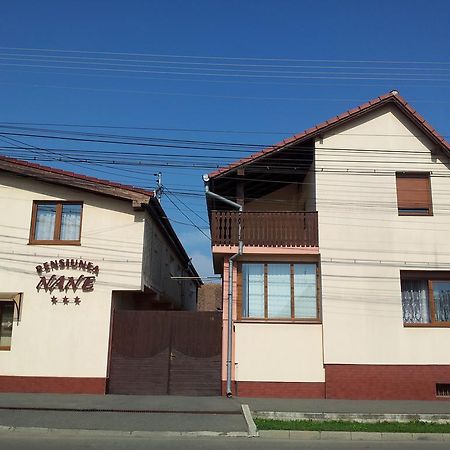 Pensiunea Nane Sibiu Bagian luar foto